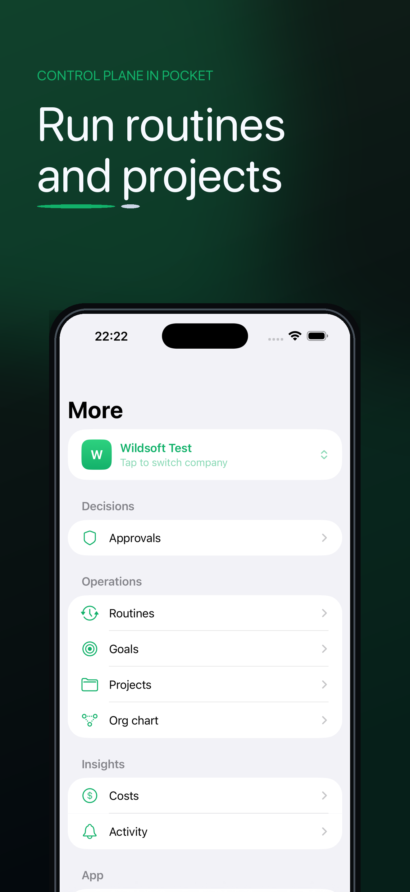 Run routines and projects